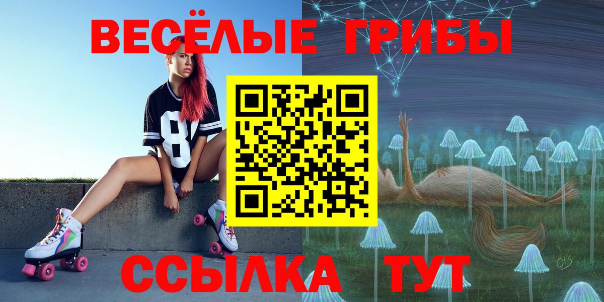 Псилоцибиновые грибы Cubensis Петропавловск-Камчатский